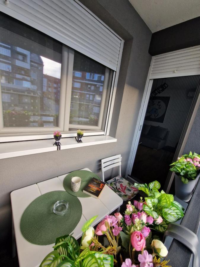 Apartman Astra สเรมสกา มิโตรวิตซา ภายนอก รูปภาพ